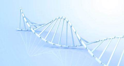 生物医疗网站建设解决方案