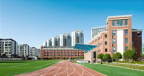 学校高校单位网站建设解决方案